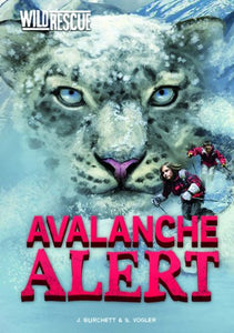 Avalanche Alert 