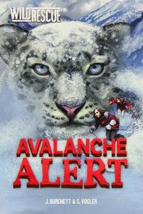 Avalanche Alert 