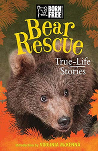 Bear Rescue 