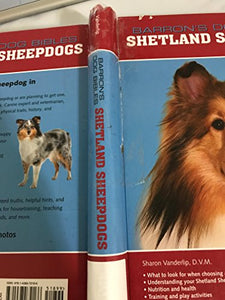 Shetland Sheepdogs 