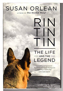 Rin Tin Tin 