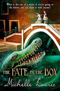 The Fate in the Box 