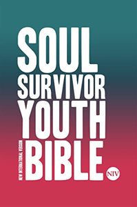 NIV Youth Bible Hardback 