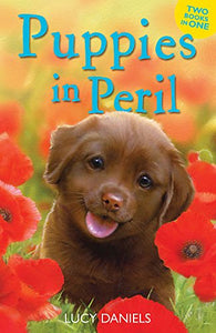 Animal Ark: Puppies in Peril 