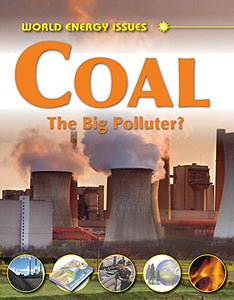 Coal - The Big Polluter? 