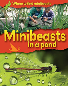 Minibeasts in a Pond 