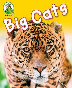 Leapfrog Learners: Big Cats 