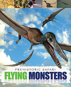 Flying Monsters 