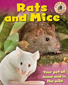 Rats and Mice 