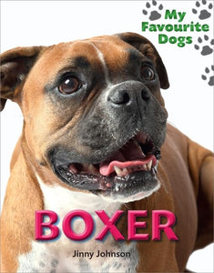 Boxer 