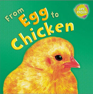 Lifecycles: From Egg To Chicken 