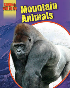 Mountain Animals 