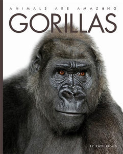 Animals Are Amazing: Gorillas 