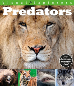 Visual Explorers: Predators 