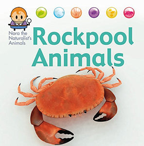 Nora the Naturalist's Animals: Rock Pool Animals 