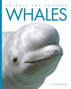 Animals Are Amazing: Whales 