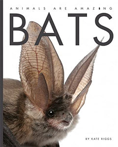 Animals Are Amazing: Bats 