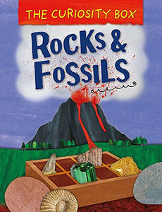 The Curiosity Box: Rocks and Fossils 