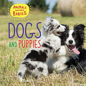 Animals and their Babies: Dogs & puppies 