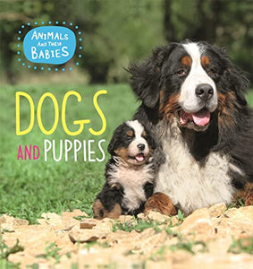 Animals and their Babies: Dogs & puppies 