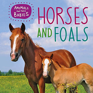 Animals and their Babies: Horses & foals 