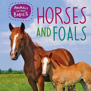 Animals and their Babies: Horses & foals 