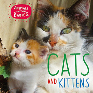 Animals and their Babies: Cats & kittens 