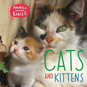 Animals and their Babies: Cats & kittens 