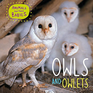 Animals and their Babies: Owls & Owlets 