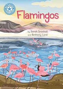 Reading Champion: Flamingos 