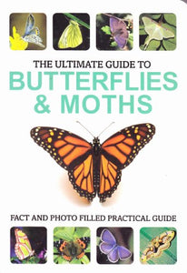 The Ultimate Guide to Butterflies  Moths 