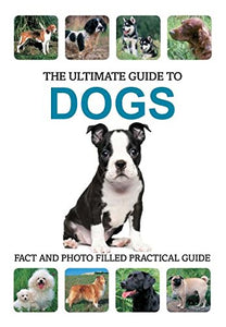 Ultimate Guide to Dogs 