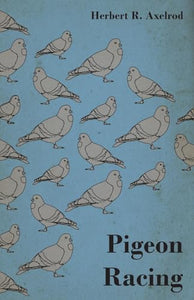 Pigeon Racing 