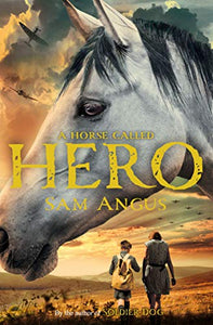 A Horse Called Hero 