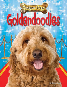 Goldendoodles 