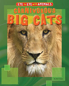 Carnivorous Big Cats 