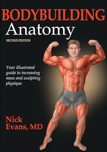 Bodybuilding Anatomy 