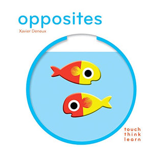 Touchthinklearn: Opposites 