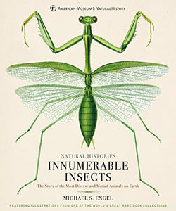 Innumerable Insects 