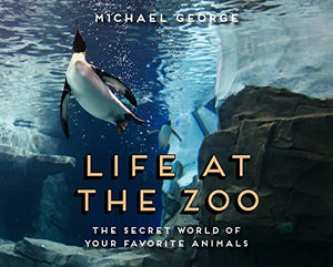 Life at the Zoo 