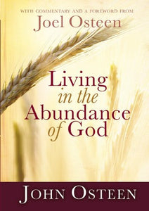 Living in the Abundance of God (International) 