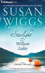 Starlight on Willow Lake 