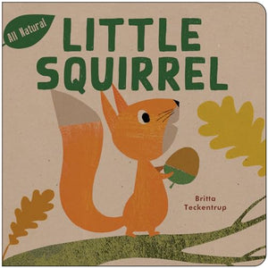 Little Squirrel 