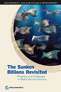 The sunken billions revisited 