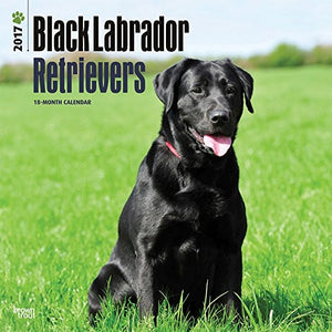 Labrador Retrievers, Black 