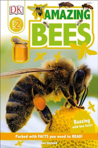 DK Readers L2: Amazing Bees 