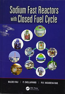 Sodium Fast Reactors with Closed Fuel Cycle 