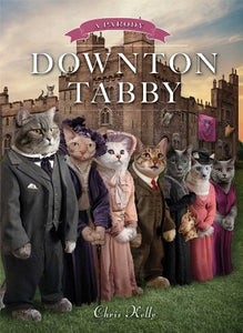 Downton Tabby 