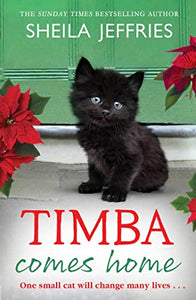 Timba Comes Home 