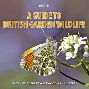 A Guide To British Garden Wildlife 